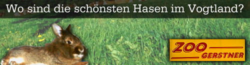 Bis Sonntag 24:00 Uhr noch abstimmen – Wer ist der schönste Hase
