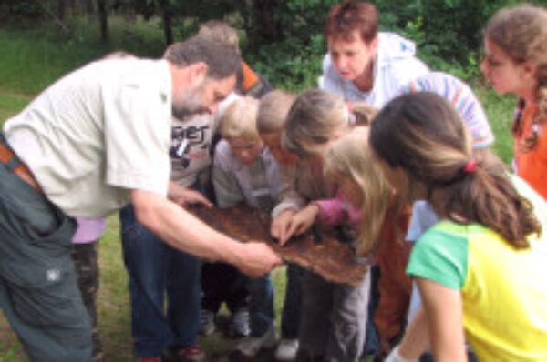 Waldjugendspiele 2008 rund um Plauen