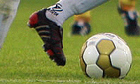 VFC Plauen: Sicherheitsdienst verliert Kontrolle