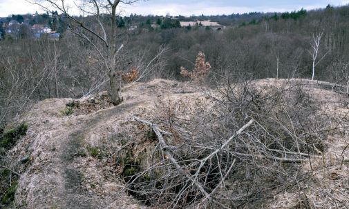 190311 Dobenauburg