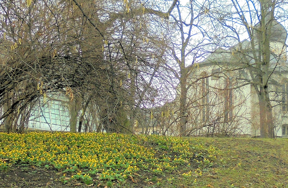 Der Frühling in Plauen ist da