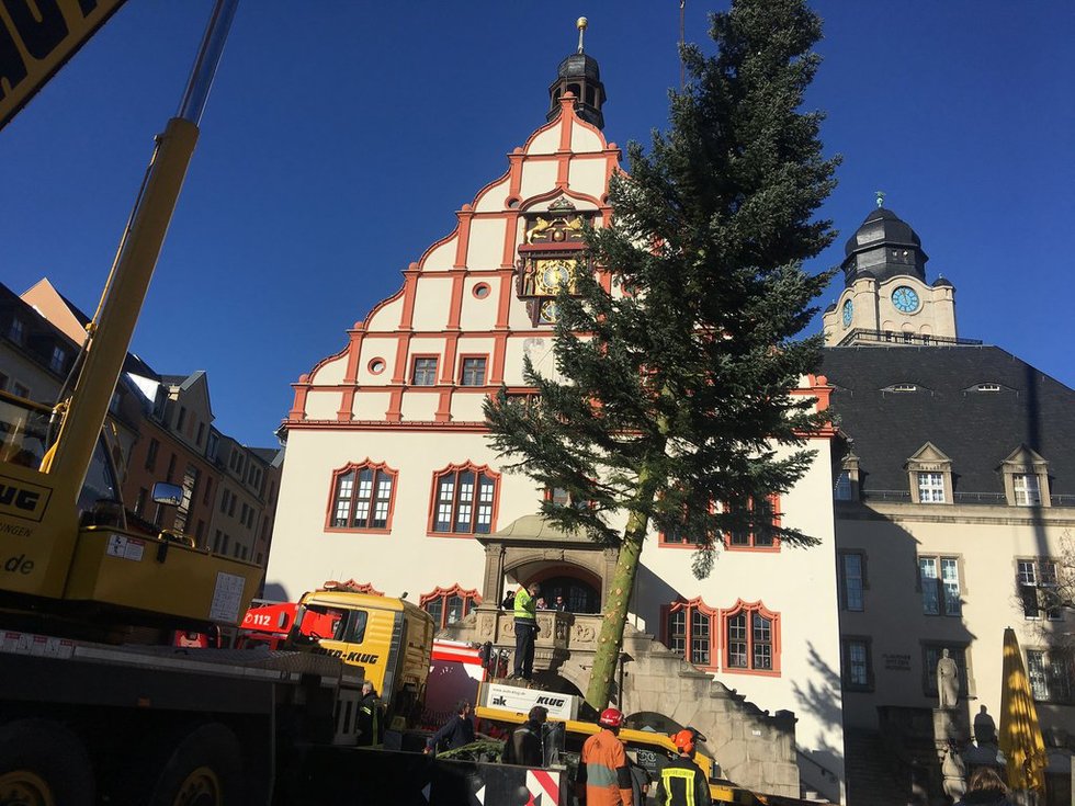 Das ist Plauens Weihnachtsbaum 2018 