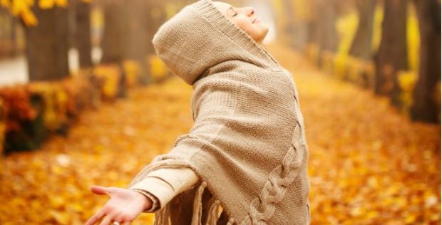Gesund durch die Erkältungszeit