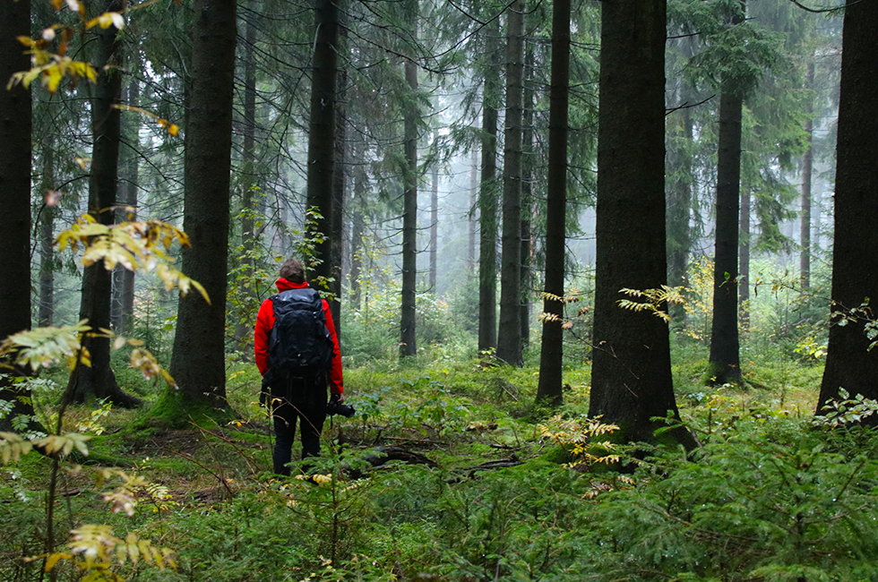 Meiler-Schöneck-Tourismusverband-Vogtland-Fotografie