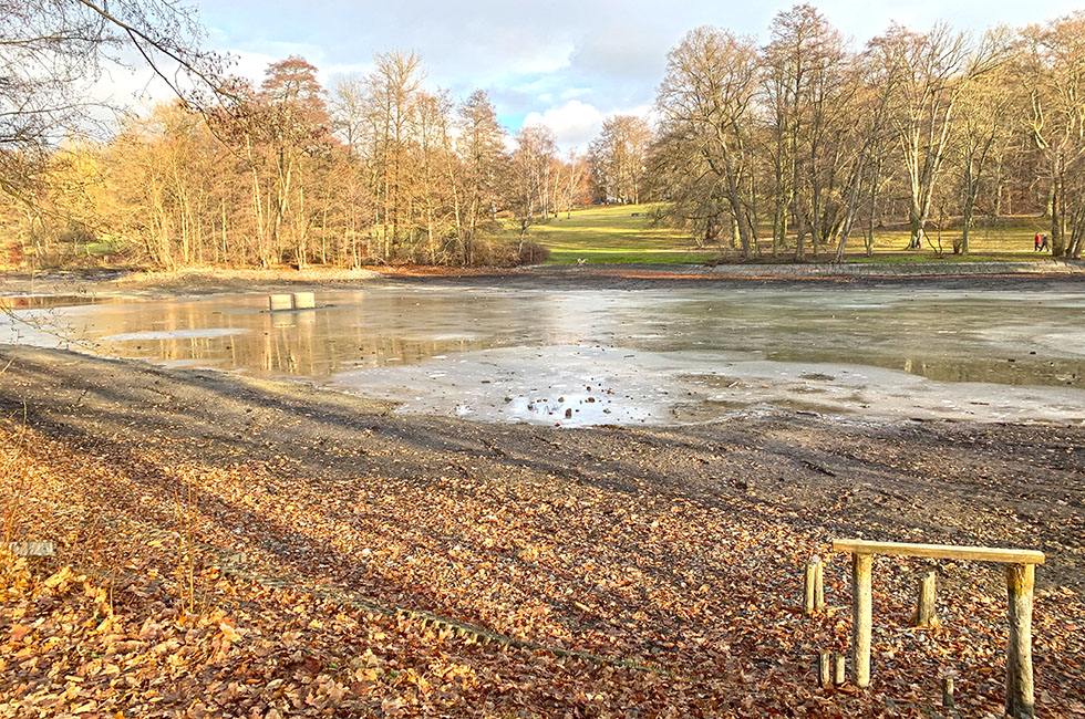 Stadtpark-Teich-Entschlammung-Plauen-Vogtland-Gartendenkmal