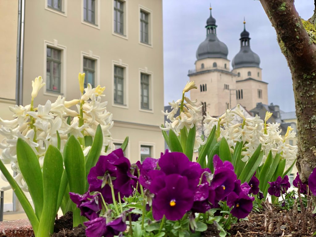 Frühlingsgrüße aus der Spitzenstadt Plauen