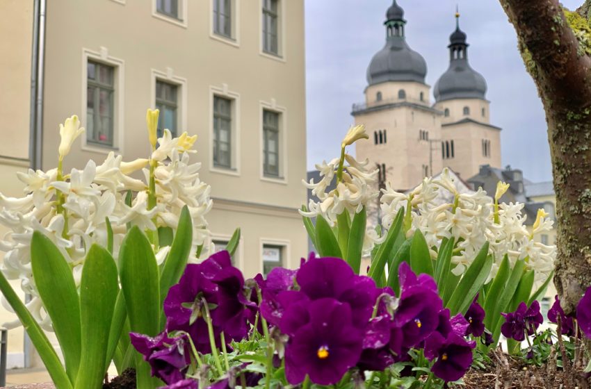Frühlingsgrüße aus der Spitzenstadt Plauen