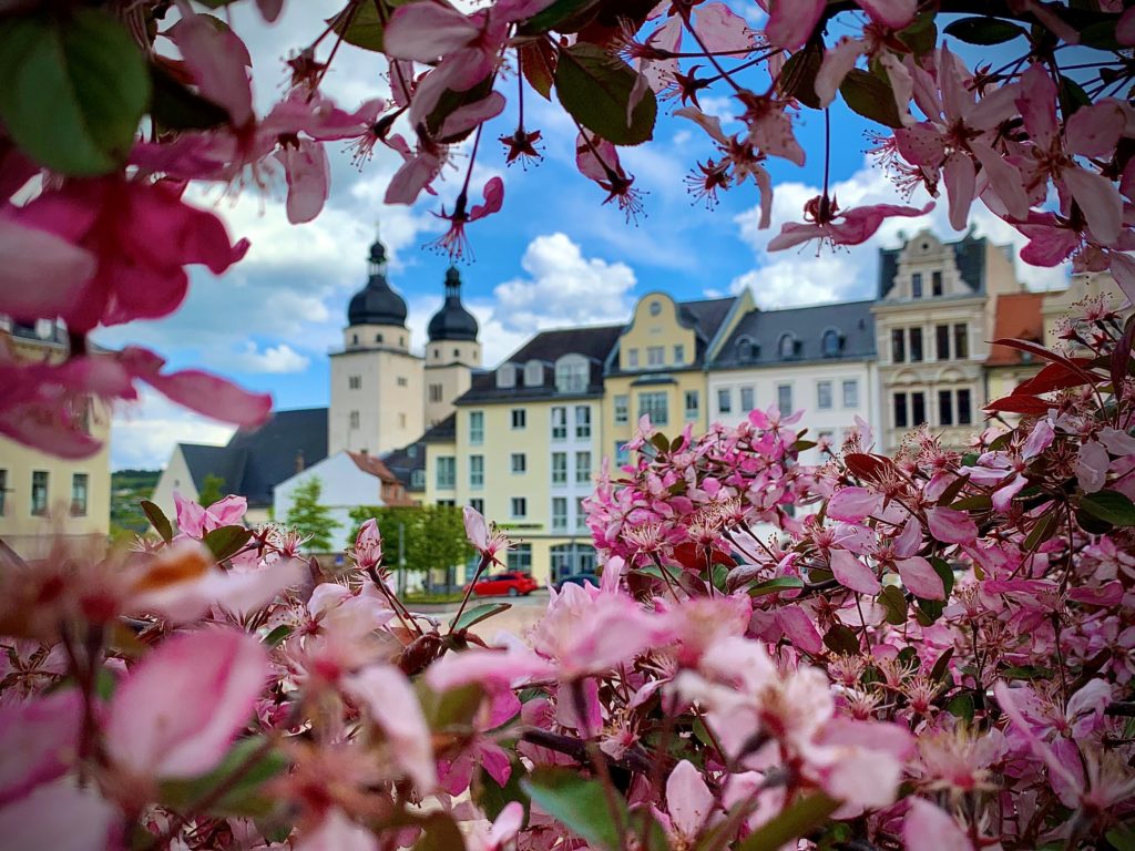 Der Altmarkt in Plauen. Foto: Spitzenstadt.de