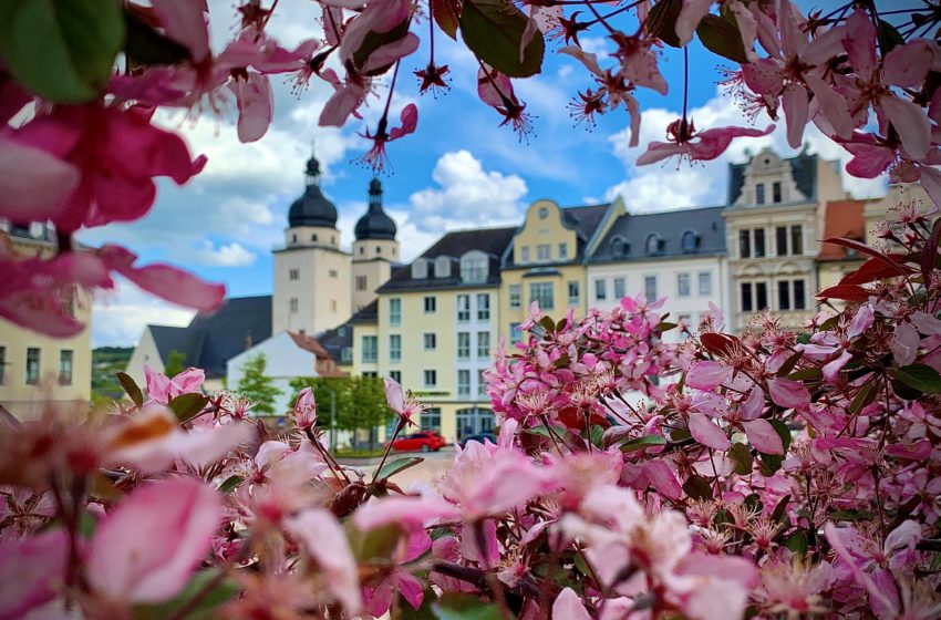 Der Altmarkt in Plauen. Foto: Spitzenstadt.de