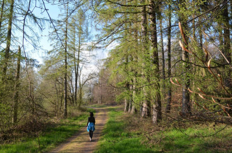 Auszeit im Vogtland – Stressbewältigung durch Entspannungskuren