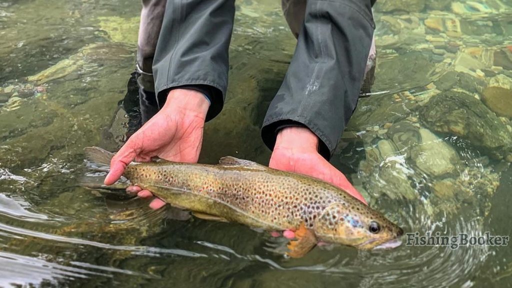 Plauen einer der besten Orte zum Angeln in Deutschland. Foto: FishingBooker.de