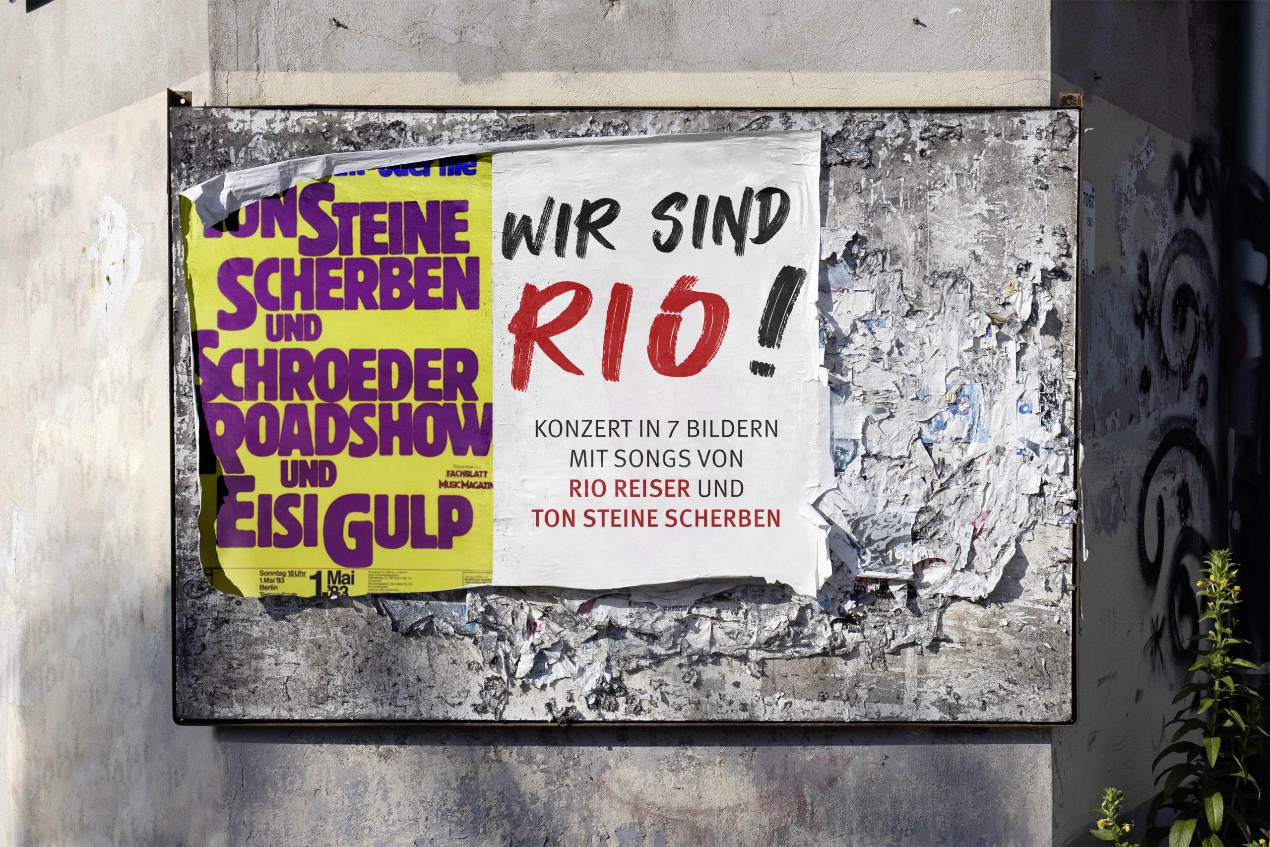 Konzertpublikum gesucht: Wer war 1996 bei Rio Reiser in Plauen?