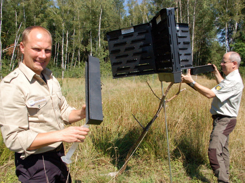 Fallenleerung: Revierförster Forstrevier Auerbach Sebastian Brand (l.) und der Sachgebietsleiter der Forstbehörde Kay Oertel (r.) beim leeren der Fallen. Fotos: Landratsamt