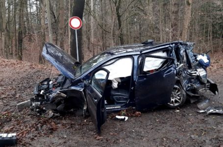 Polizei-Report Plauen-Vogtland: Tödlicher Verkehrsunfall in Syrau