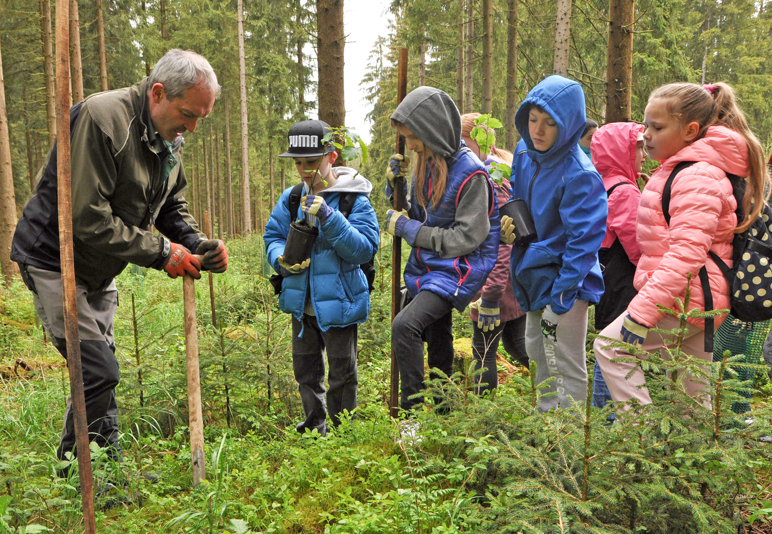 Waldtag für Kinder im Vogtland