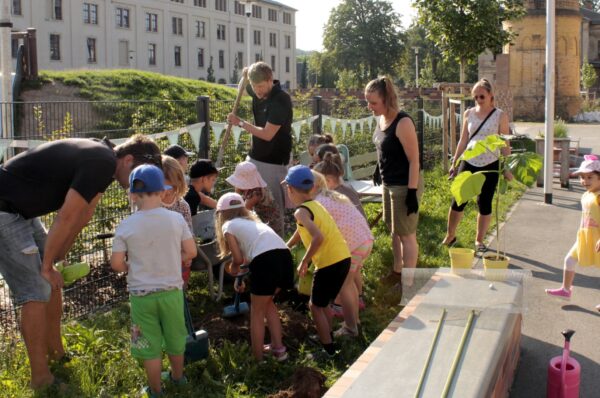 Kinder pflanzen in Plauen Klimabaum