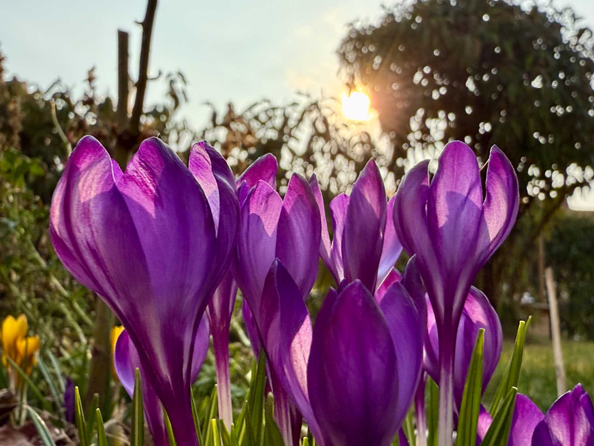 In Plauen startet der Frühjahrsputz: Gemeinsam die Spitzenstadt verschönern