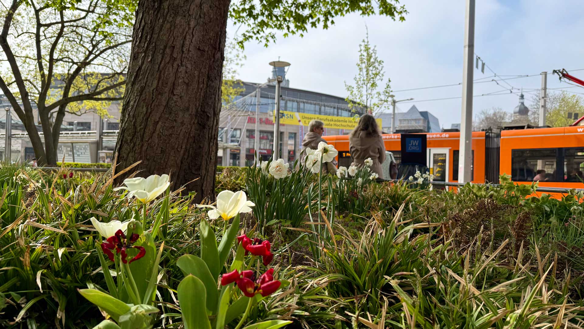 Frühlingsflair und neuer Eisshop am Postplatz in Plauen