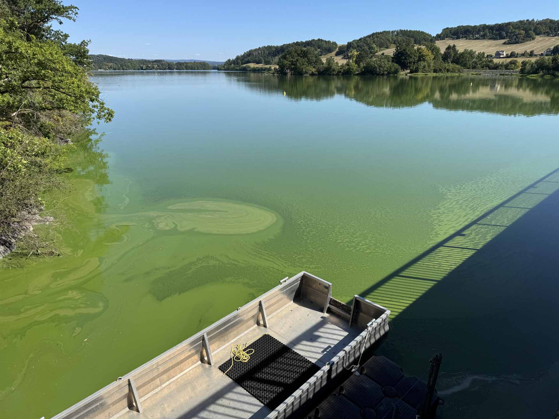 Achtung Blaualgen-Alarm in der Talsperre Pirk. Foto: M. Reißmann