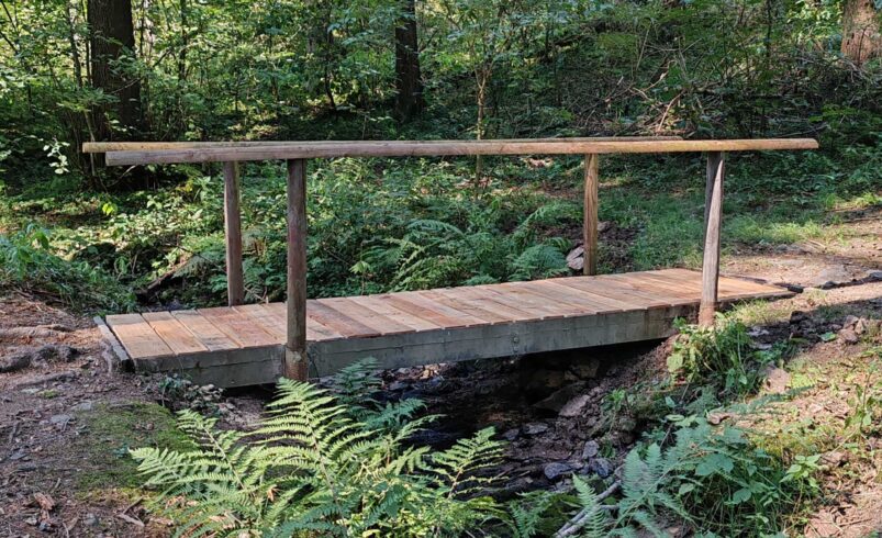 Brücke über den Rosenbach. Foto: Stadt Plauen