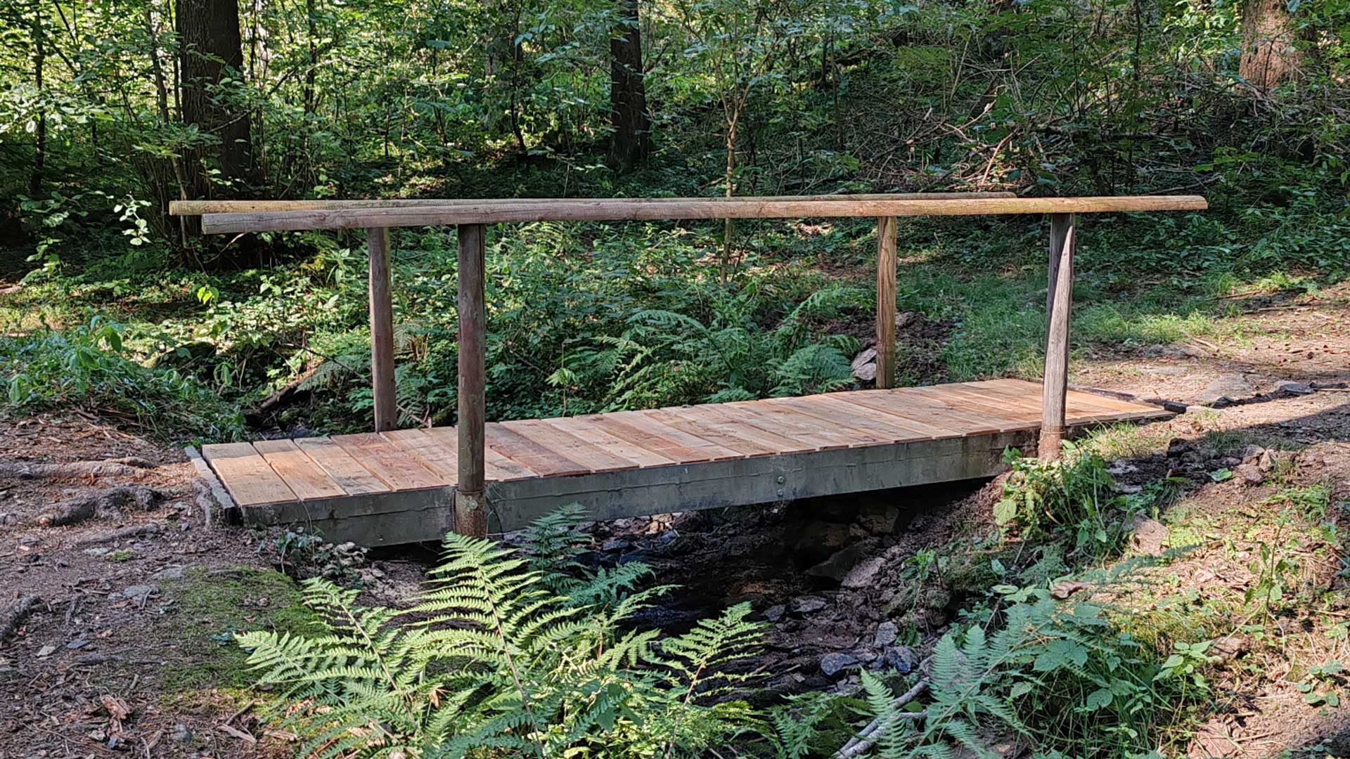 Brücke über den Rosenbach. Foto: Stadt Plauen