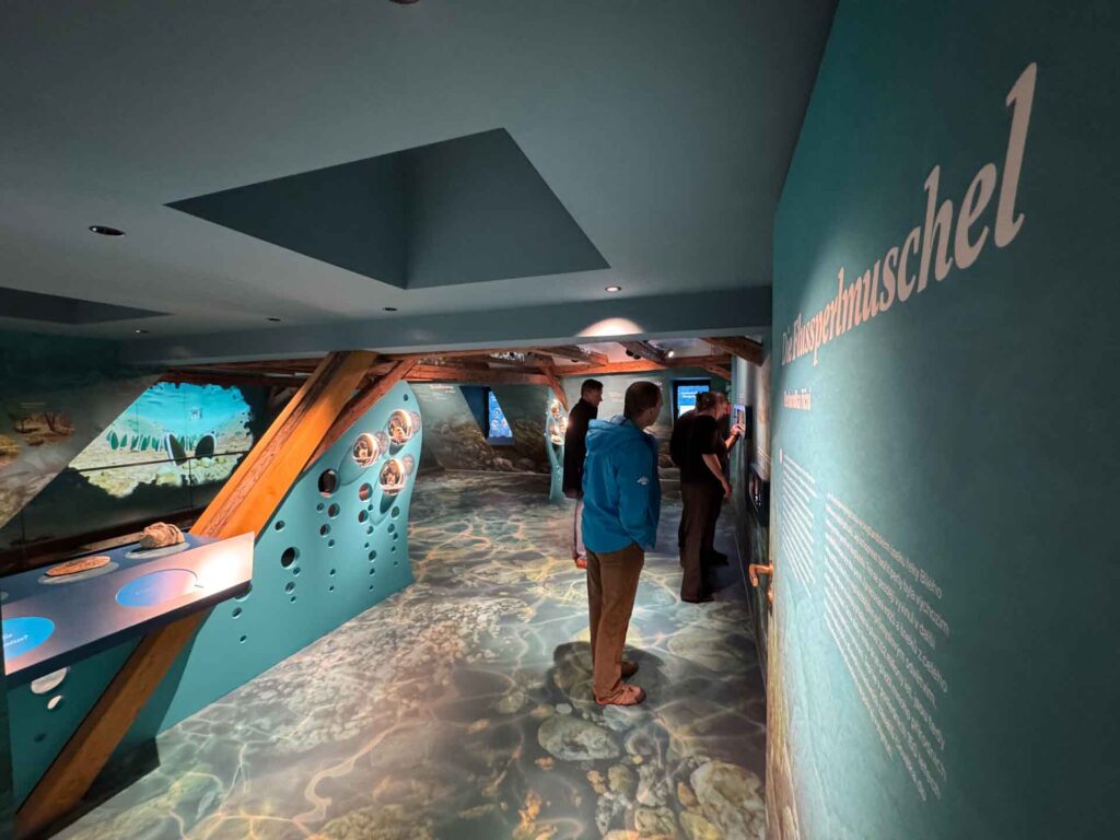 Neues Perlmutter-Erlebnismuseum in Adorf. Foto: M. Reißmann