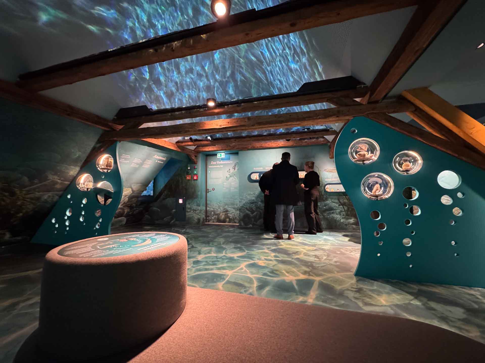 Neues Perlmutter-Erlebnismuseum in Adorf. Foto: M. Reißmann