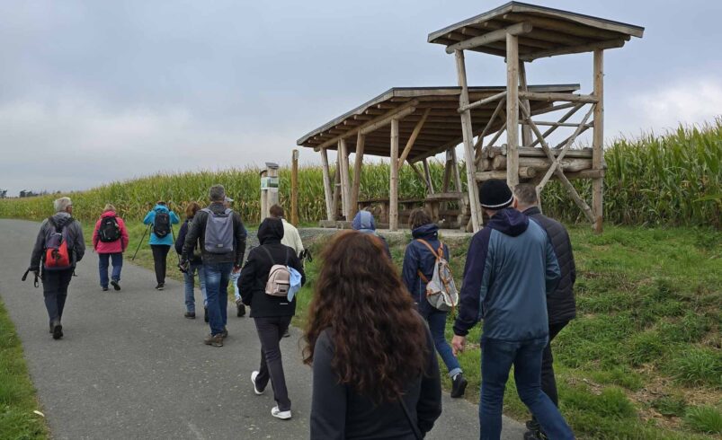 Neuer Themenrundweg im Vogtland begeistert Naturfreunde. Foto: TVV