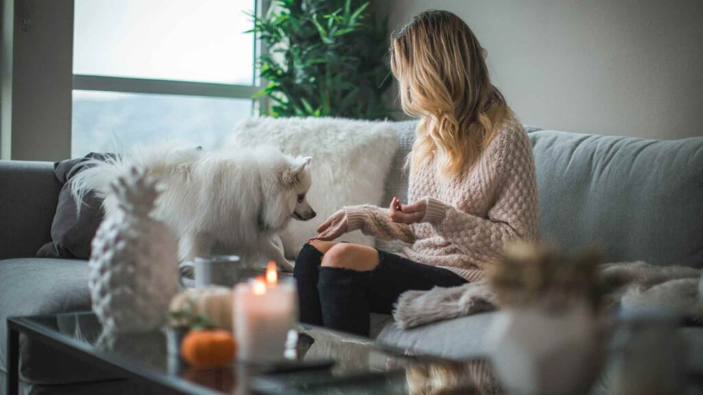 Passende Einrichtung für ein gemütliches Zuhause. Foto: unsplash.com
