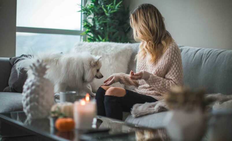 Passende Einrichtung für ein gemütliches Zuhause. Foto: unsplash.com