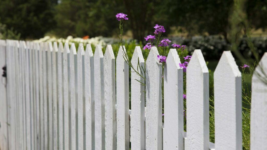 Keine Seltenheit - Streit am und über dem Gartenzaun. Foto: unsplash.com