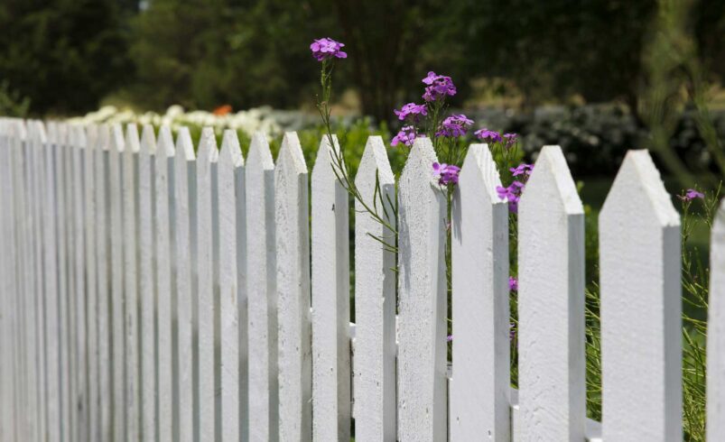 Keine Seltenheit - Streit am und über dem Gartenzaun. Foto: unsplash.com