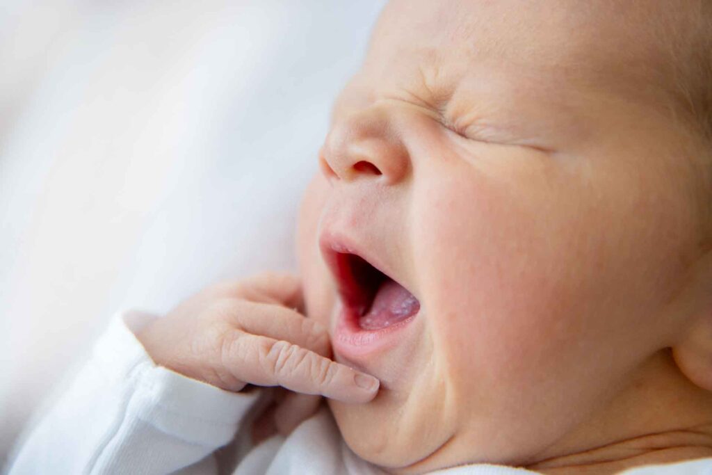 737 Geburten im Jahr 2025 – außergewöhnlich viele Zwillingsgeburten im Helios Vogtland-Klinikum Plauen. Foto: Dorothee Sykora-Roscher