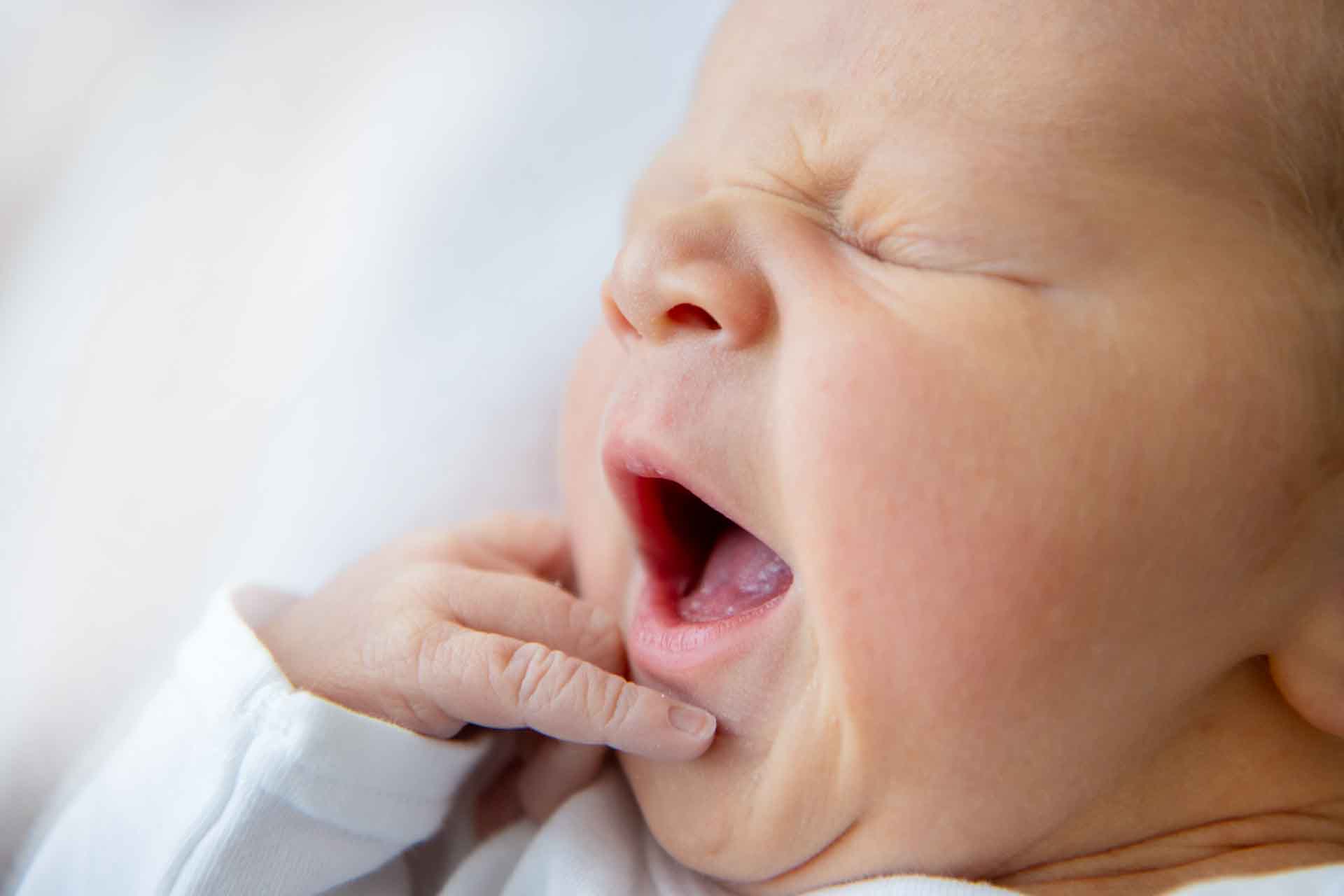 737 Geburten im Jahr 2025 – außergewöhnlich viele Zwillingsgeburten im Helios Vogtland-Klinikum Plauen. Foto: Dorothee Sykora-Roscher