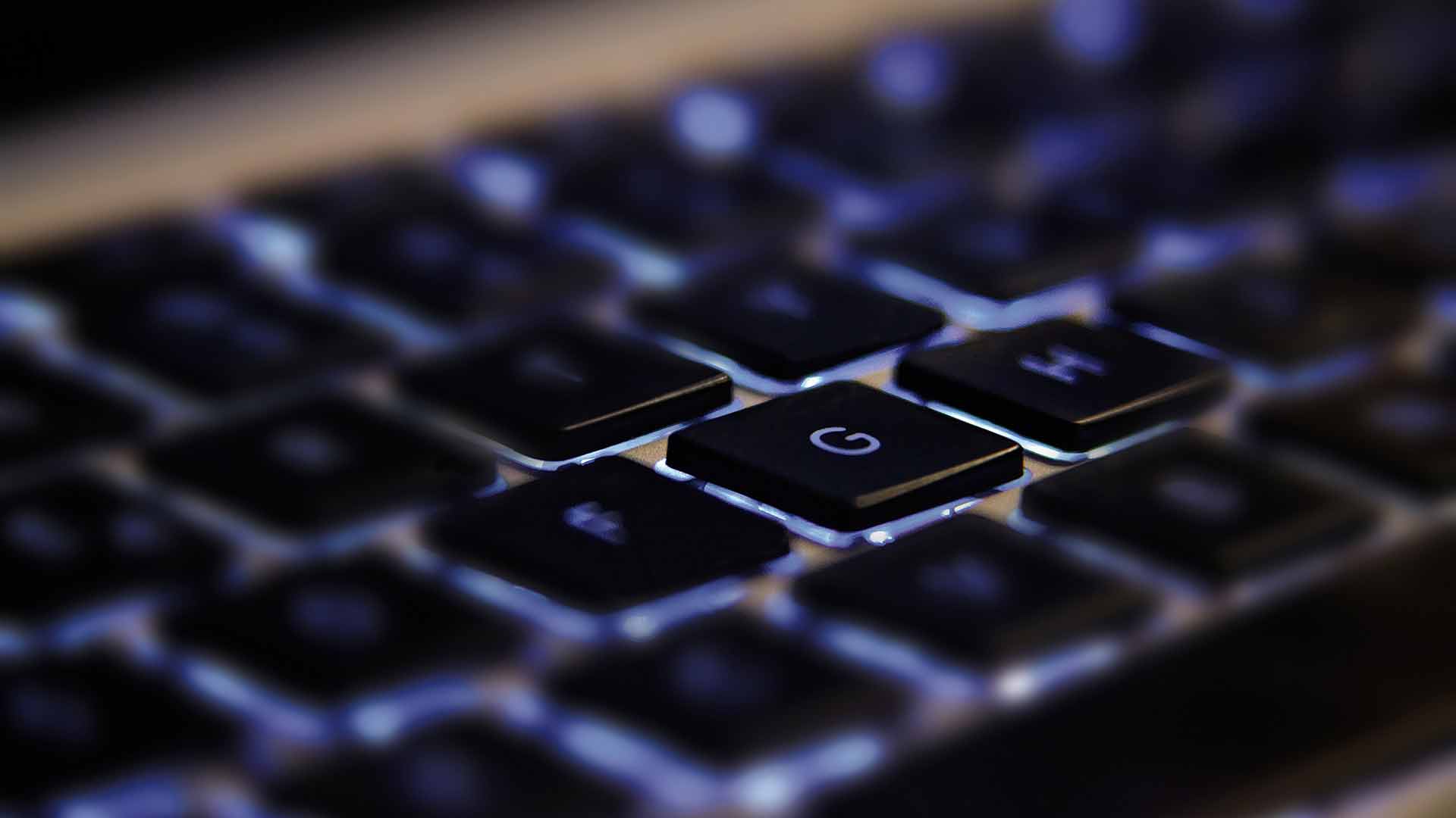 Warum Spalierbäume in nordrhein-westfälischen Gärten immer häufiger stehen