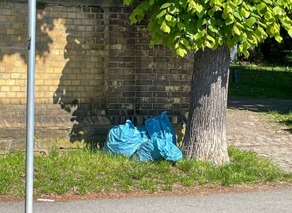 Plauen zahlt jedes Jahr Zehntausende Euro für illegalen Müll. Foto: Michael Petzold