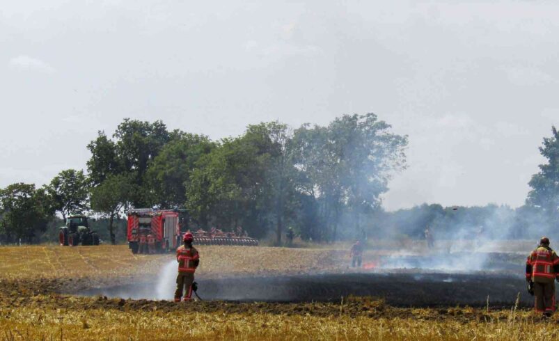 Feldbrand-in-Plauen-2