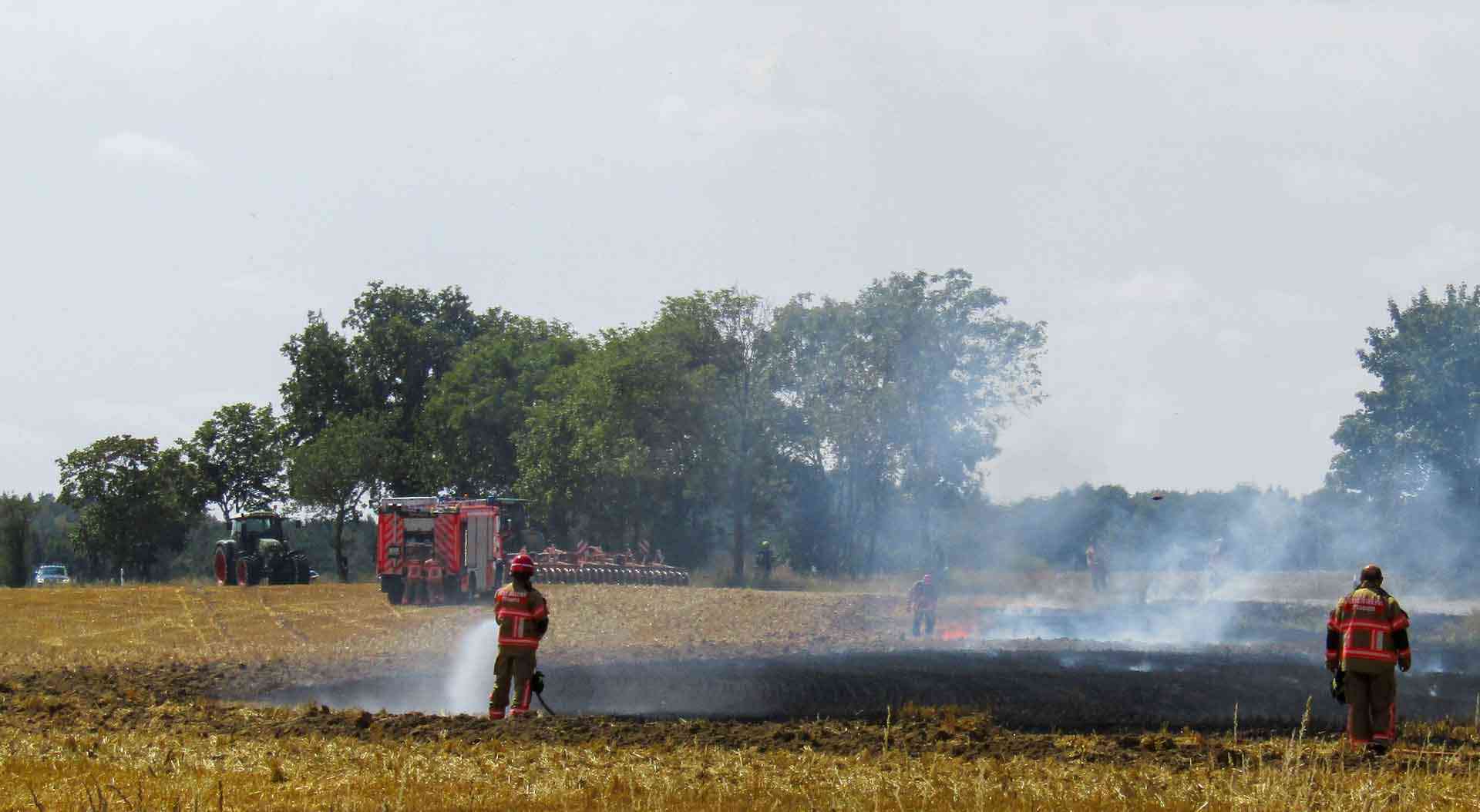 Feldbrand-in-Plauen-2