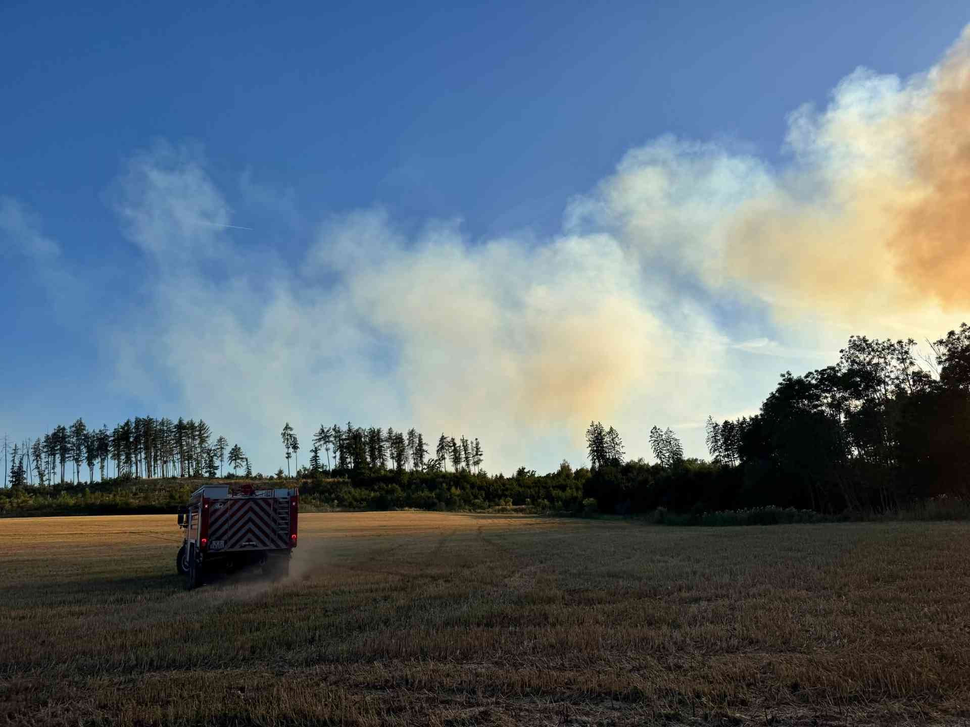 Vegetationsbrand in Meßbach: Einsatzkräfte vor großen Herausforderungen