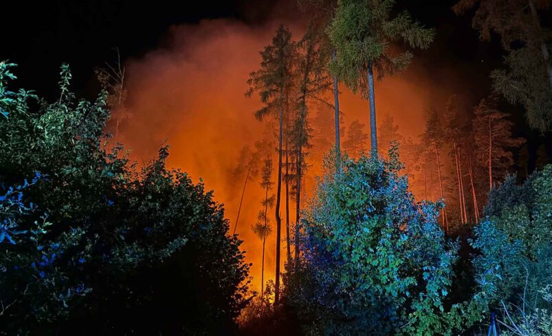 Feuerwehren und THW bekämpfen im Vogtland großen Flächenbrand bei Plauen. Foto: Stadt Plauen