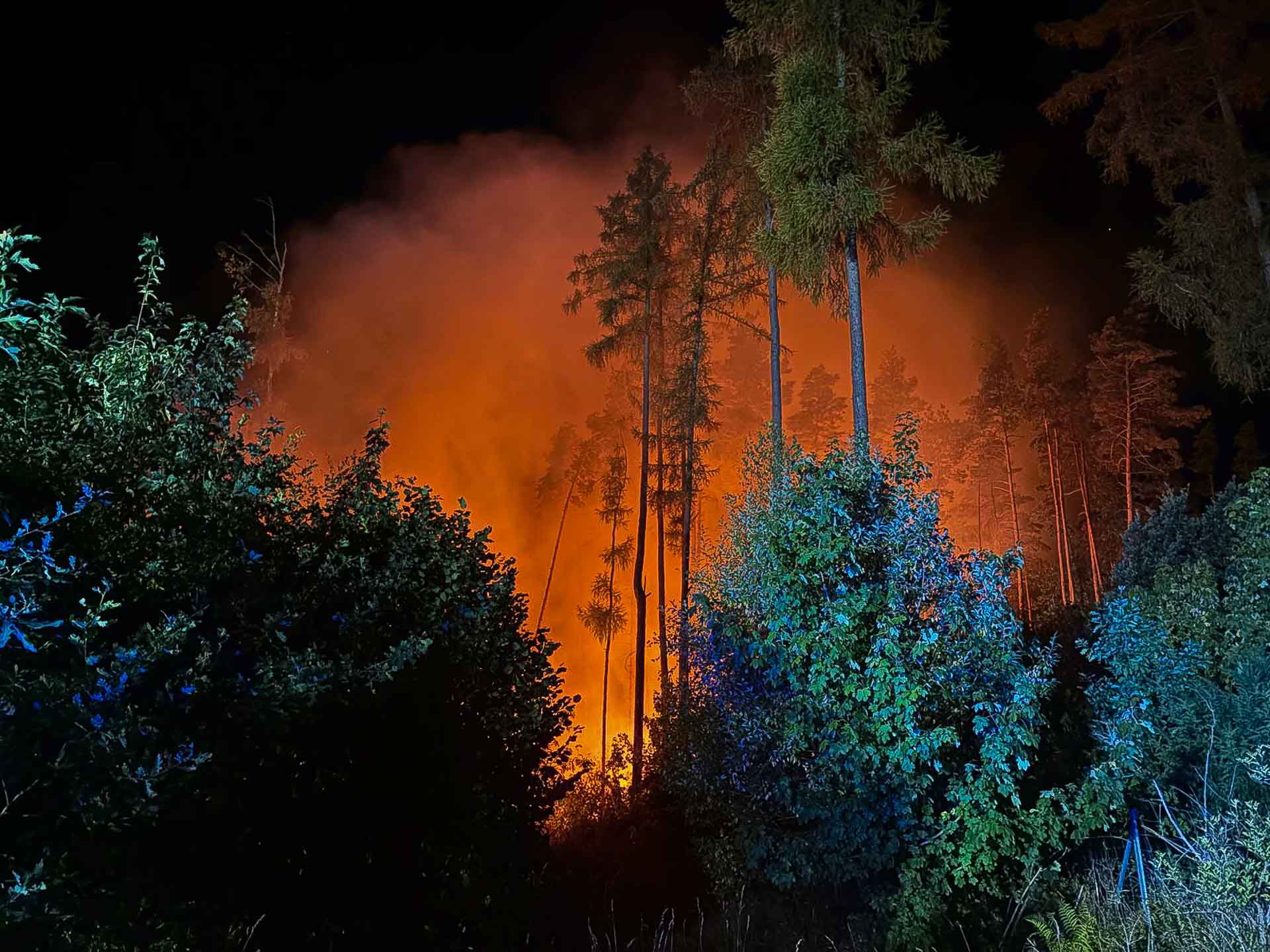 Feuerwehren und THW bekämpfen im Vogtland großen Flächenbrand bei Plauen. Foto: Stadt Plauen